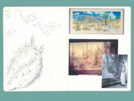 journal spread of pencil sketch of prickly pear cactus with handwritten notes on left page, right page with photos of cacti