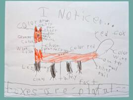 journal page of red fox with labels