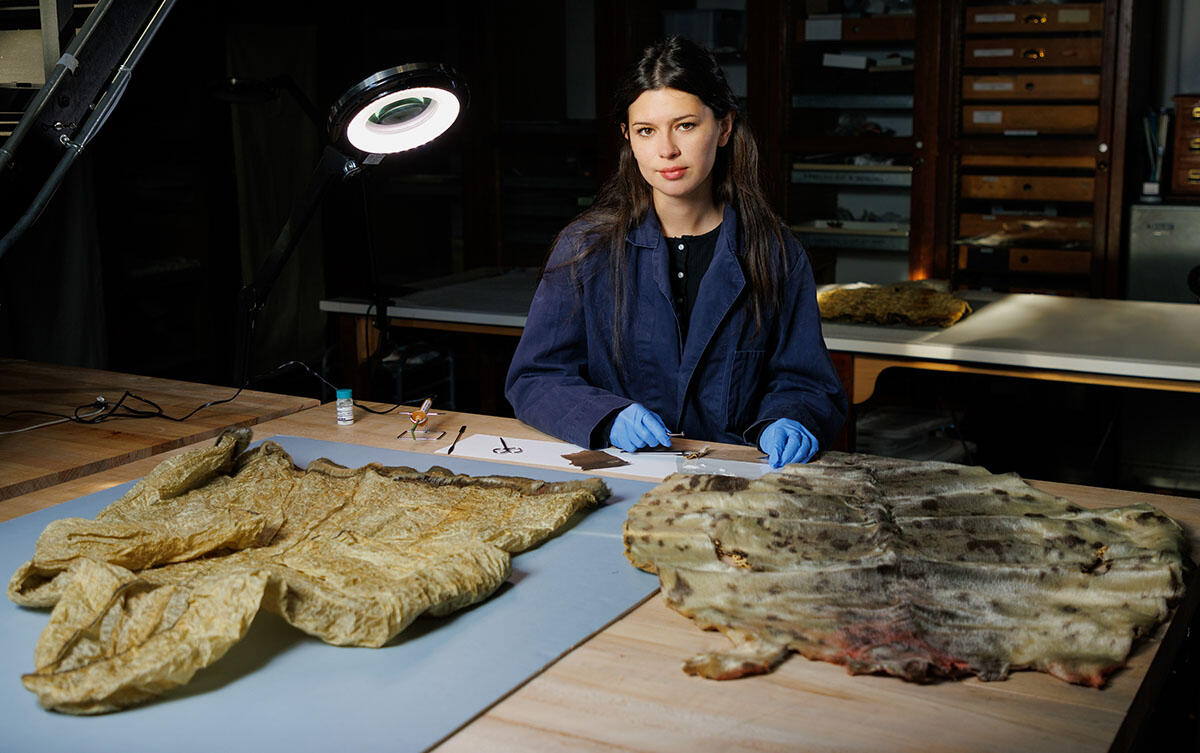 Amy Lowndes: Conservation Assistant, Special Projects | AMNH