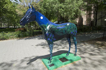 Horse Gallery 13