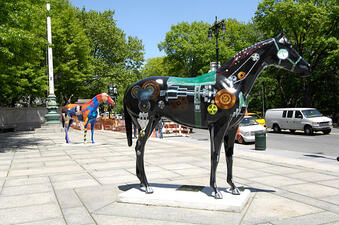 Horse Gallery 7