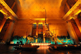 A musician is seated at a grand piano located next to two dramatically-lit fossil dinosaur mounts in the Museum's rotunda.