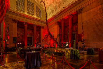 Small round tables decorated with votive candles surround a centrally-displayed tall fossil dinosaur mount in the Museum's rotunda.