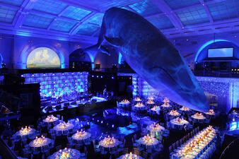 Round tables decorated with flowers, glasses and tableware are positioned below the life-sized blue whale model in the Museum's Hall of Ocean Life.