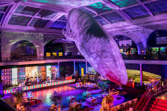 Dramatically-lit life-sized blue whale model is suspended over a dance floor, tables and lounge areas for an event.