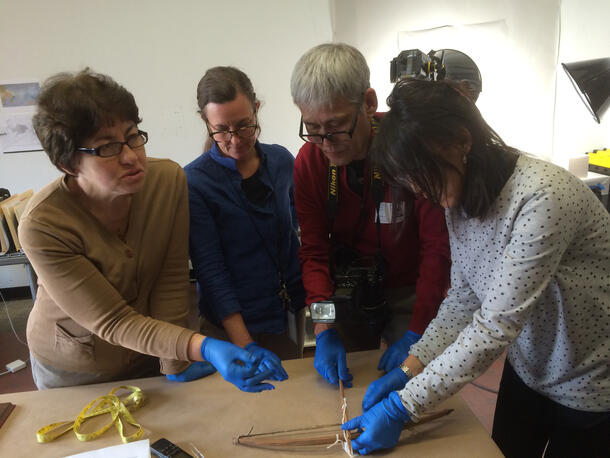 Examining objects from Siberian Collections at AMNH