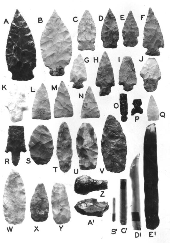 Sample of Objects in the Ekholm Collection, Tampico-Panuco Region (as classified by Ekholm)