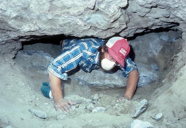 A geologist coming out of a narrow crevice at Hidden Cave, Nevada. He is wearing a red baseball cap with the letters "GMC" on it, a plaid shirt, glasses, and a dust mask.