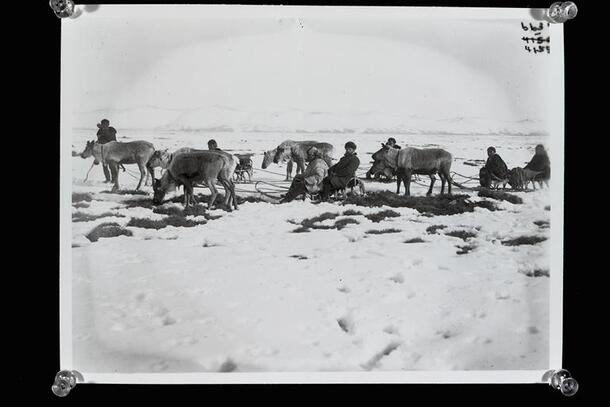 Travel with Reindeer Koryaks