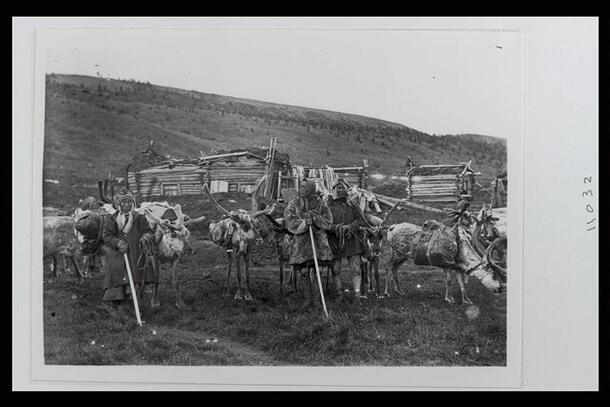 Tungus people with reindeer