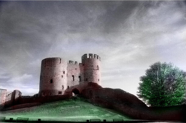 The keep at Dudley Castle on a verdant hill, beside a large tree.