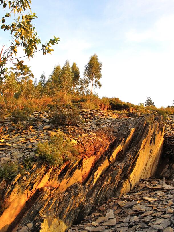 Outdoor shot of a rocky area covered with small broken slabs of flat rocks and a large section of rock protruding from the earth. There is also sparse scrubby ground vegetation.