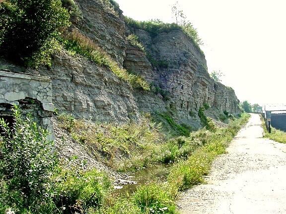 A walking path to the right of a short, grassy cliff.