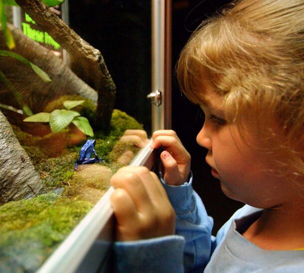 Child with dart poison frog_DF_crop