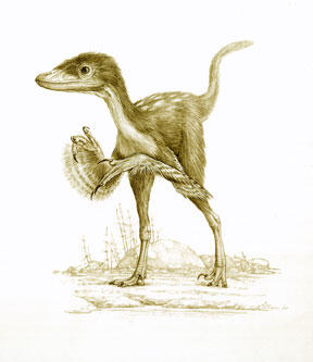 dave-sinornithosaurus-drawing