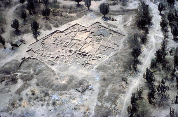 An aerial view of a wide flat excavation site showing the outlines of walls and patios. Around the perimeter is scrubby vegetation.