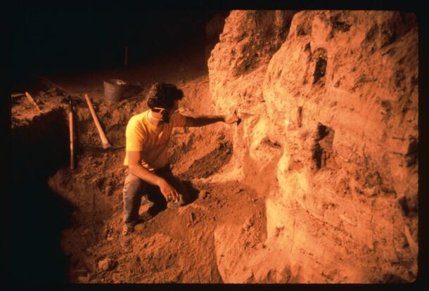 A man kneeling beside a rock formation at the dig site in Hidden Cave, Nevada.