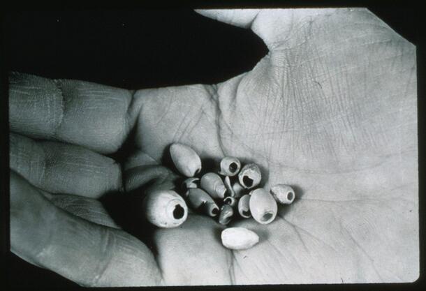 An open human palm displaying about ten small artifacts that look like beads, from Hidden Cave, NV.