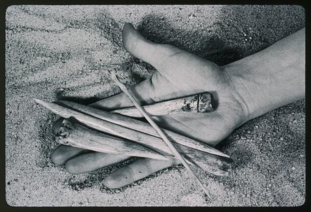 An open human palm displaying five carved small thin sharp pointed artifacts, from Hidden Cave, NV.