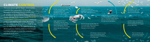 ocean-climate_01_graphic_540.jpg