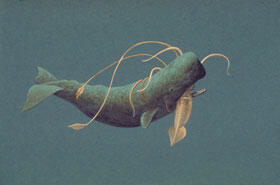 ocean-deep_01_whale-squid_280.jpg