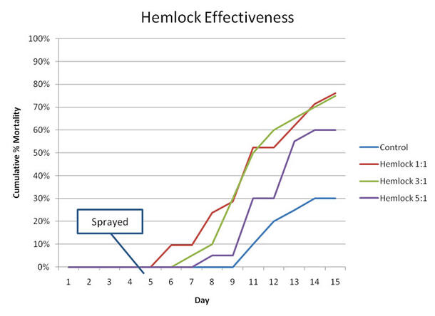 A line chart showing the effectiveness of hemlock.