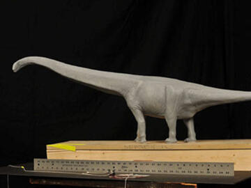 Mamenchisaurus hochuanensis model