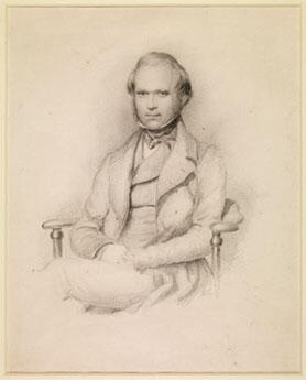 Charles Darwin by George Richmond, pencil 1839 Cambridge University Library