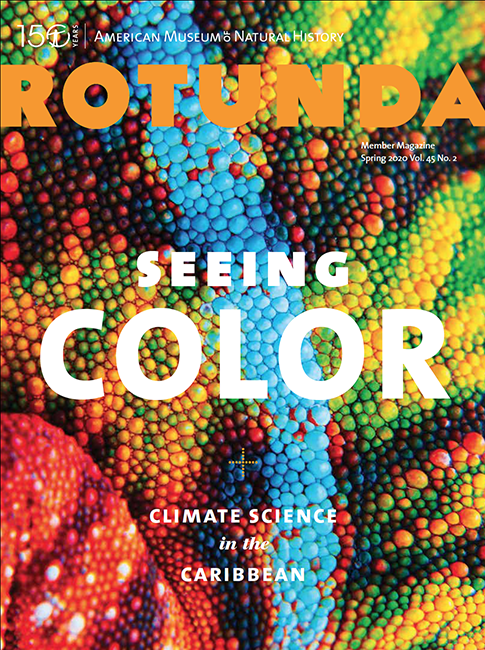 Cover of the Spring 2020 Rotunda Members Magazine, entitled "Seeing Color", picturing an extreme closeup of multi-colored chameleon skin.