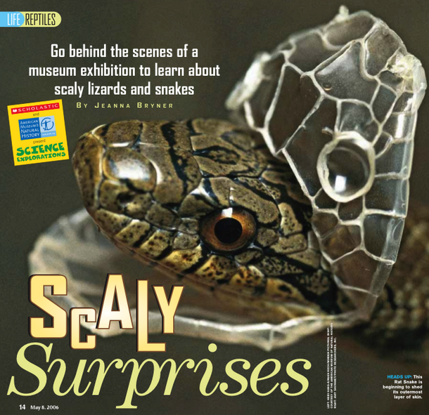 Scaly Surprises (Science World)