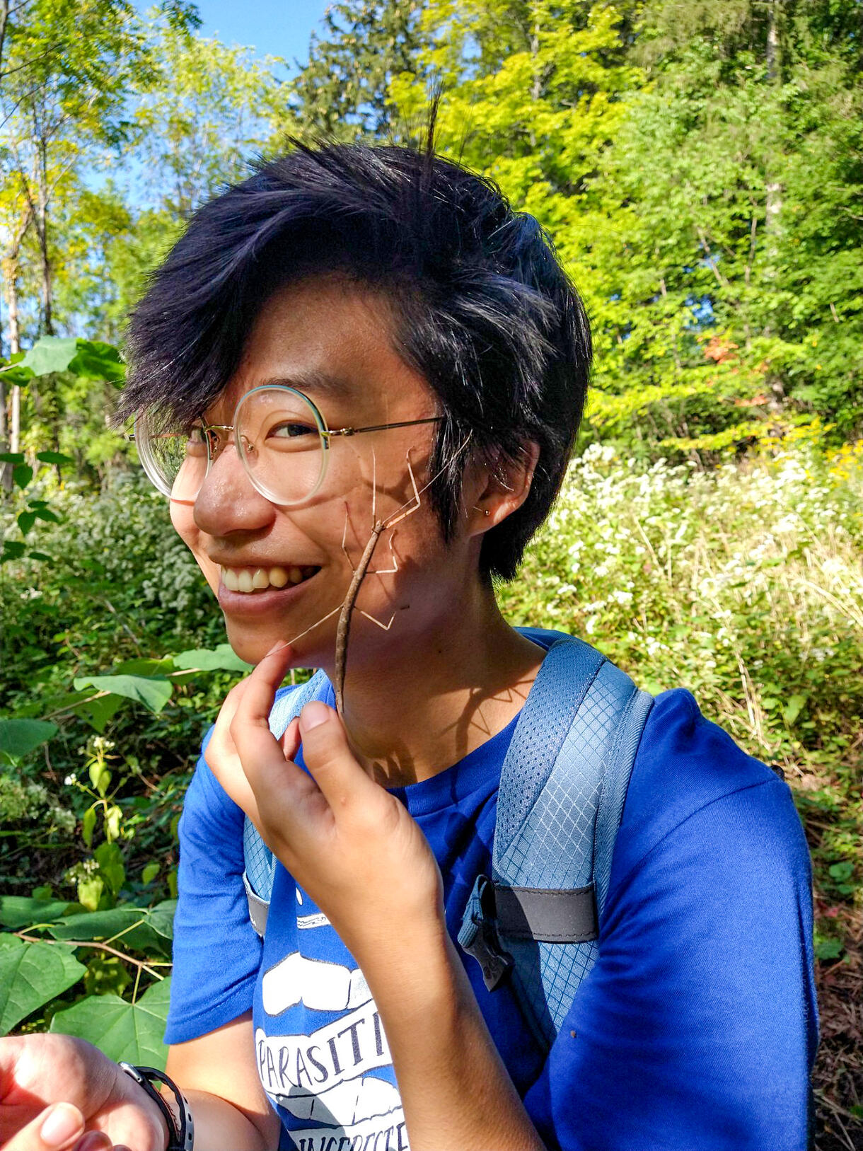 Brittany Hahn mounting insects for exhibition display