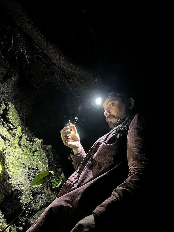 Jairo Moreno wears a headlamp to view a specimen collected from a rocky outcrop.