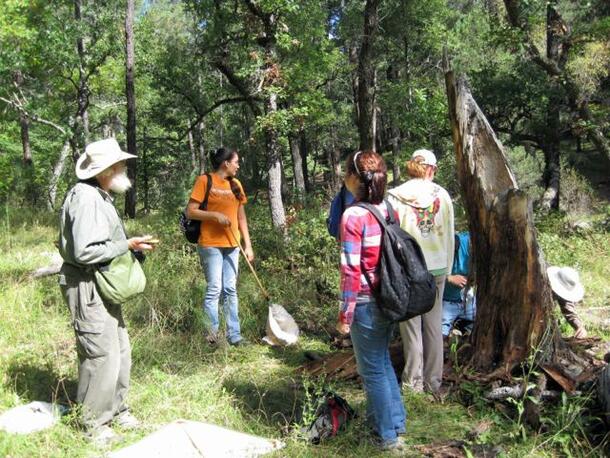Medium wide shot of five people in a forest clearing near a tree stump. One woman hold a specimen-collecting net.