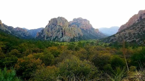 View of Cave Creek Canyon from Vista Point in Portal, Arizona.