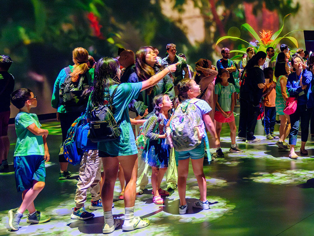 Museum visitors are surrounded by video projections as they stand inside the Invisible Worlds immersive theater.