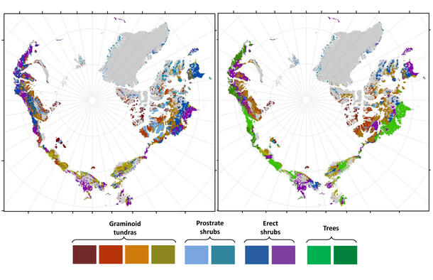 Maps showing how vegetation in the Arctic will change as the climate warms