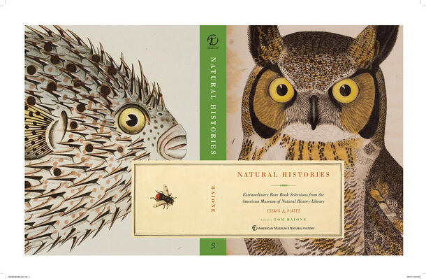 Cover illustrations of a fish and an owl from AMNH Natural Histories publication drawn from Museum's rare book collections.