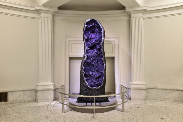 This photo shows a slender and tall rock with the front face removed to show its internal purple crystals, standing on a small platform with a railing