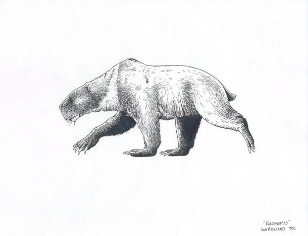 Drawing of an extinct carnivore called "Kolponomos" or Marine Bear that preyed upon shellfish