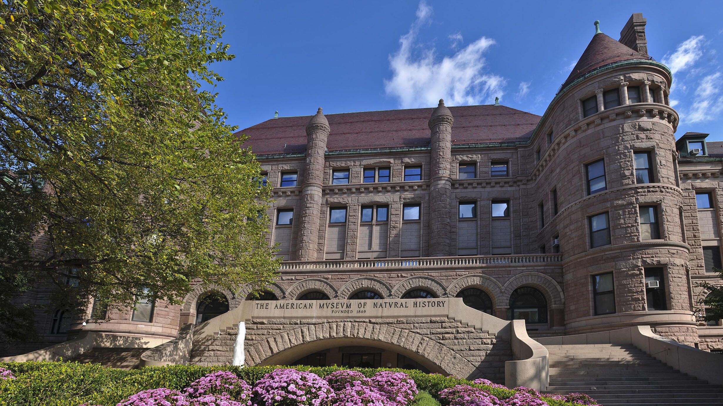 Daytime view of the American Museum of Natural History's 77th Street facade.