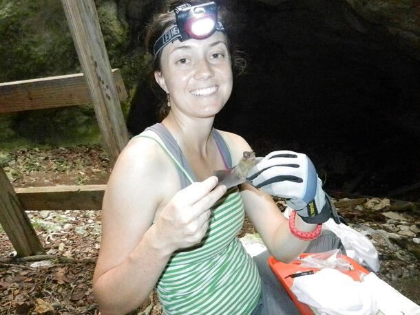 Kelly Speer in the field, wearing a headlamp while conducting research in a bat cave.