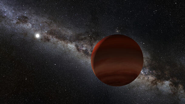 Rendering of a white dwarf and cold brown dwarf pair.