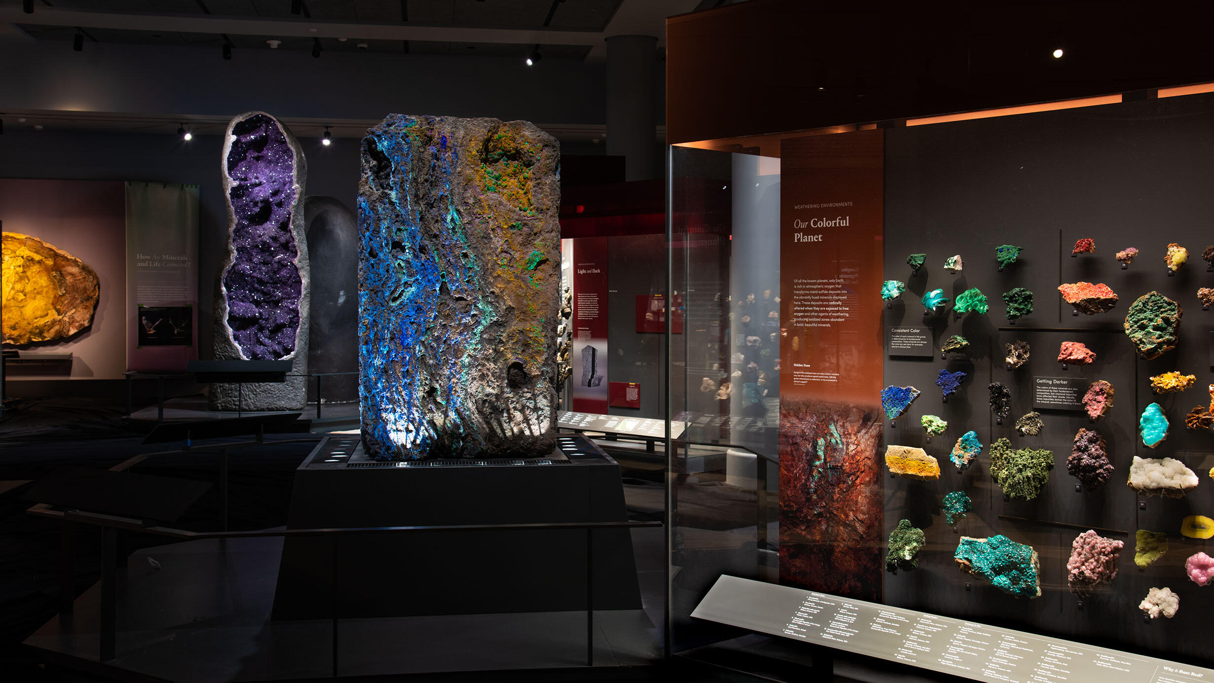 Specimens on pedestals and in cases in the Mignone Halls of Gems and Minerals.