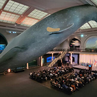Rows of spectators sit beneath the blue whale and view RGGS graduates seated on a stage in the Milstein Hall of Ocean Life.