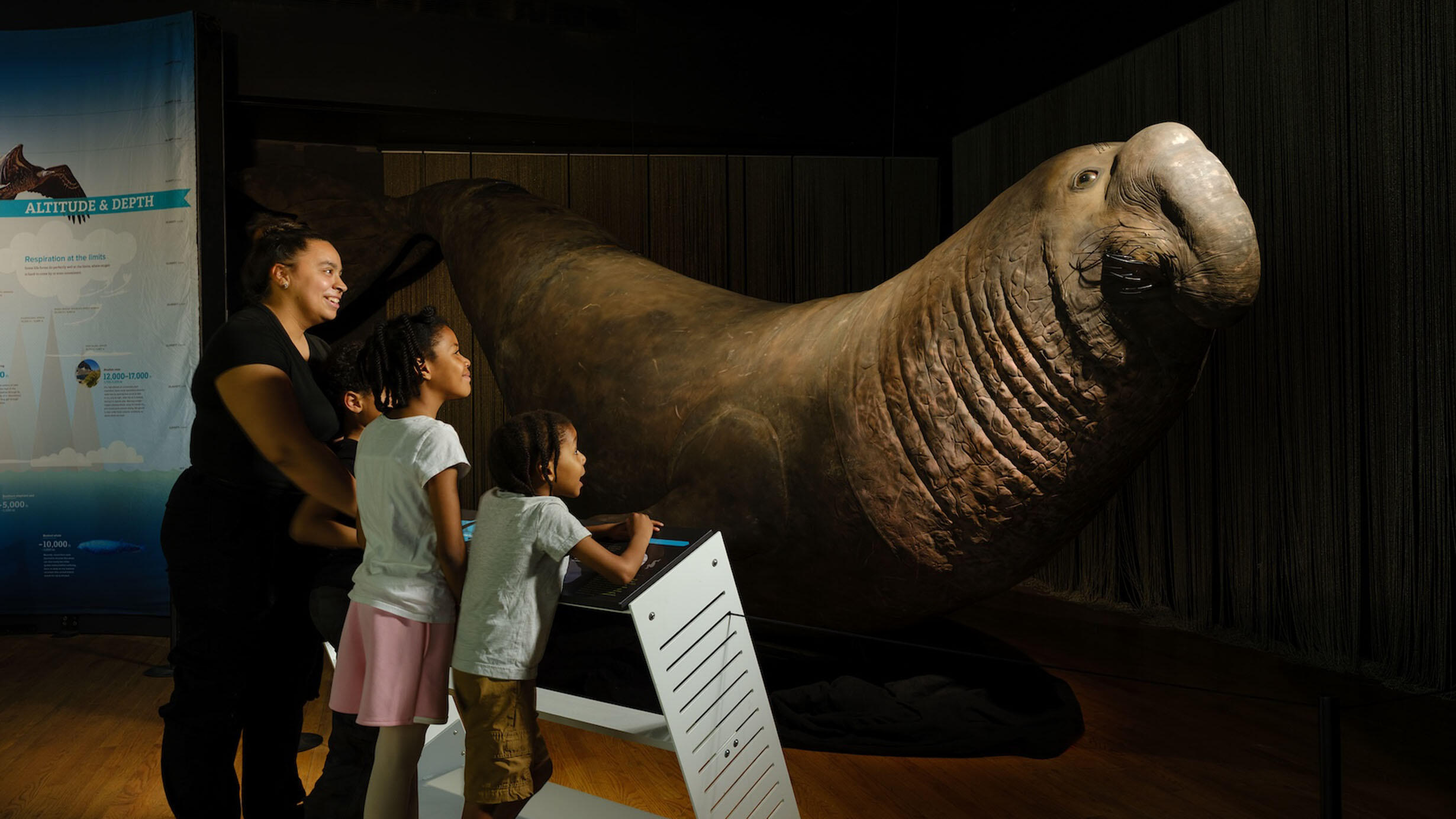 An adult and three children look at a large elephant seal model in the Life at the Limits special exhibition.