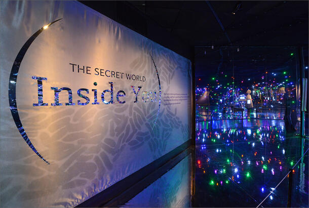 Entryway sign with text reading "The Secret World Inside You" and multi-colored lights in dark space visible in background.