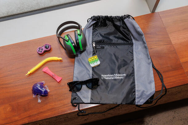 A drawstring backpack printed with the words 'AMNH.' Next to the bag are a pair of over-ear headphones, sunglasses, and several colorful fidget tools.