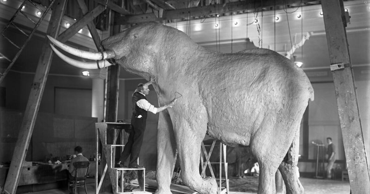 Carl Akeley's Museum Dioramas: Father of Modern Taxidermy | AMNH