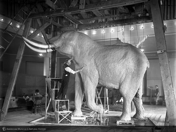 Carl Akeley modeling an elephant
