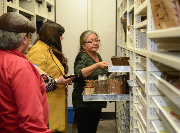 One person pulls out a cabinet drawer to show two other people the basket on it. Another specimen drawer is left open and holds various items.